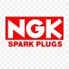 Ngk